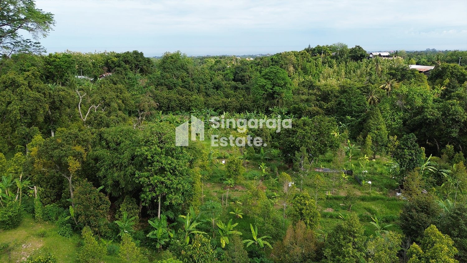 Tanah Kebun Murah 15 Menit Dari Singaraja Kota - Image 4